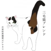 夏にホットで飲みたい三毛猫ブレンド