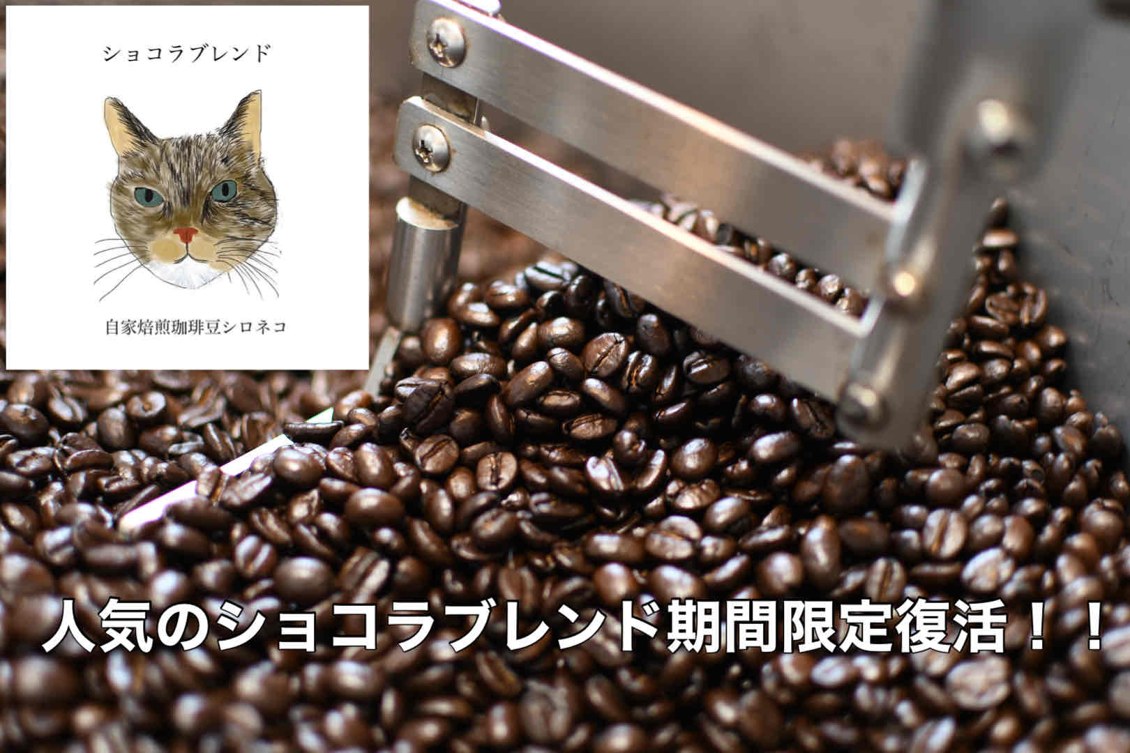 ショコラブレンド