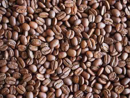 浅煎りコーヒー豆 フルーティーな酸味 軽い味わい