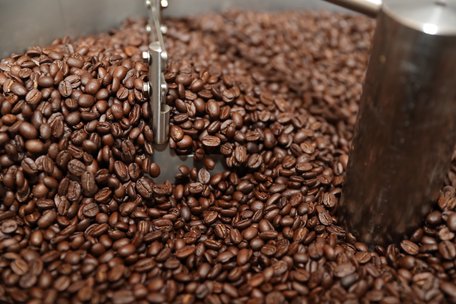 中煎りコーヒー豆 バランスの良い味わい 飲みやすい焙煎