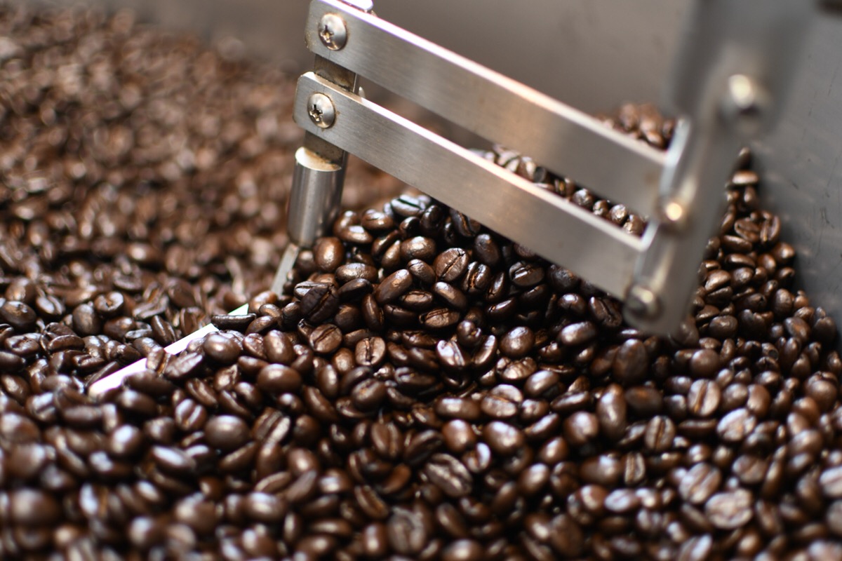 深煎り コーヒー豆 油分 見分け方