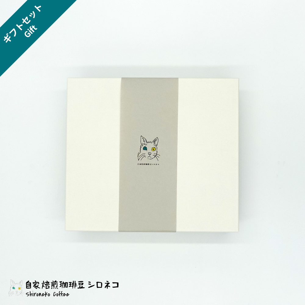 オリジナルデザインの帯を巻いたシロネコのサマーギフトボックス(お中元・贈り物用ラッピング)